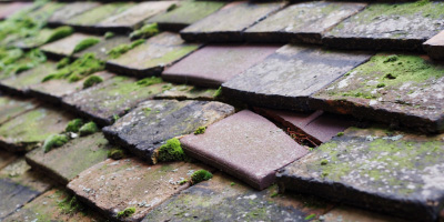 Flaunden roof repair costs